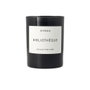 Byredo BIBLIOTHÈQUE Candle - Vela de Soja con Aroma a Biblioteca, Melocotón, Ciruela y Vainilla, 240 g para Ambiente y Relajación