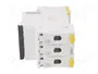 SCHNEIDER ELECTRIC Interruptor magnetotérmico iC60L 25A 3 polos