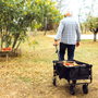 Je cherche une Idee Carro Plegable Carga 65 kg