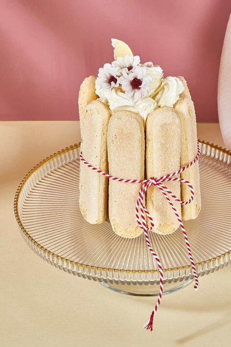 Hermia Paris 21 Plato para Servir Pasteles de Vidrio Transparente con Soporte de 21 cm