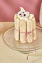 Hermia Paris 21 Plato para Servir Pasteles de Vidrio Transparente con Soporte de 21 cm