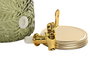 DKD Home Decor Dispensador Bebidas Tropical Cristal Metal Verde Dorado Hojas 19.3 x 36 x 19.3 cm