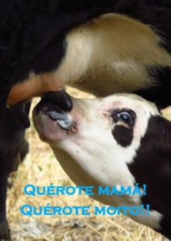 (Postal) Querote Mamá cuxiño, VV.AA - FACSIMILE