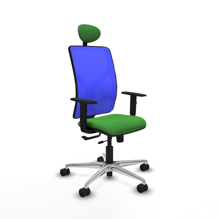 PIQUERAS Y CRESPO Silla de oficina Motilla con mecanismo Sincro/Traslack, Verde y Azul PIQUERAS Y CRESPO Silla de oficina Motilla con mecanismo Sincro/Traslack, Verde y Azul