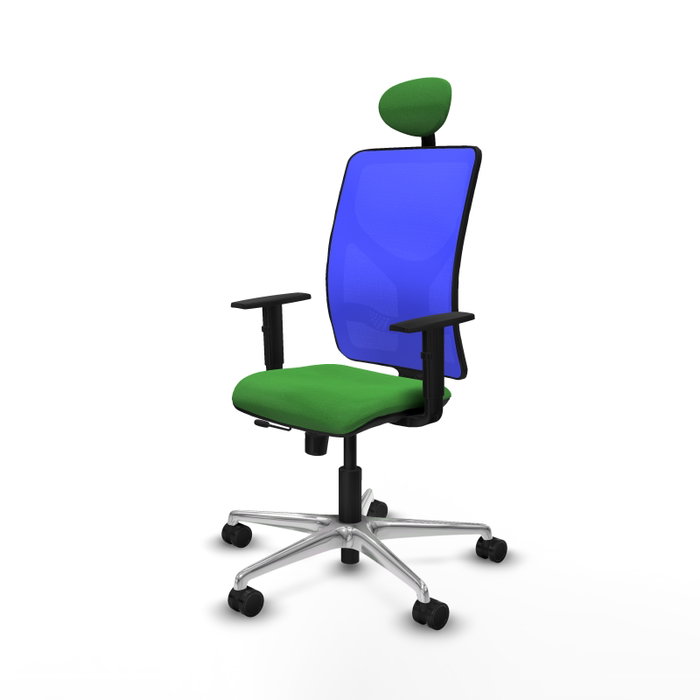 PIQUERAS Y CRESPO Silla de oficina Motilla con mecanismo Sincro/Traslack, Verde y Azul PIQUERAS Y CRESPO Silla de oficina Motilla con mecanismo Sincro/Traslack, Verde y Azul