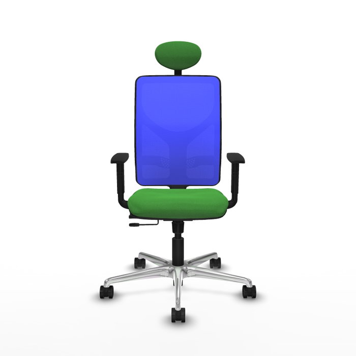 PIQUERAS Y CRESPO Silla de oficina Motilla con mecanismo Sincro/Traslack, Verde y Azul PIQUERAS Y CRESPO Silla de oficina Motilla con mecanismo Sincro/Traslack, Verde y Azul