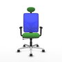 PIQUERAS Y CRESPO Silla de oficina Motilla con mecanismo Sincro/Traslack, Verde y Azul
