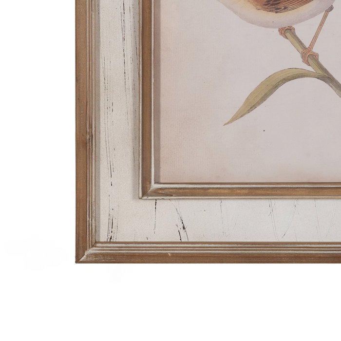 Cuadro Impresión Pájaros 72,50 X 3,50 X 88 cm