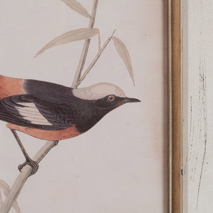 Cuadro Impresión Pájaros 72,50 X 3,50 X 88 cm