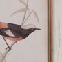 Cuadro Impresión Pájaros 72,50 X 3,50 X 88 cm