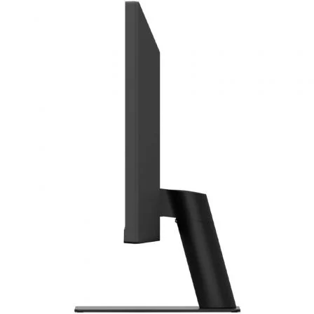 LG 29U511A-B Monitor 29" UltraWide IPS WFHD 2560x1080 100Hz 1ms HDR10 Negro