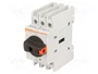 LOVATO ELECTRIC GA016A Interruptor de aislamiento 3 polos 16A