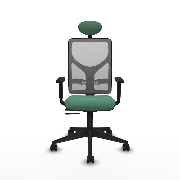 PIQUERAS Y CRESPO Silla de oficina Motilla con mecanismo Sincro/Traslack Verde esmeralda PIQUERAS Y CRESPO Silla de oficina Motilla con mecanismo Sincro/Traslack Verde esmeralda