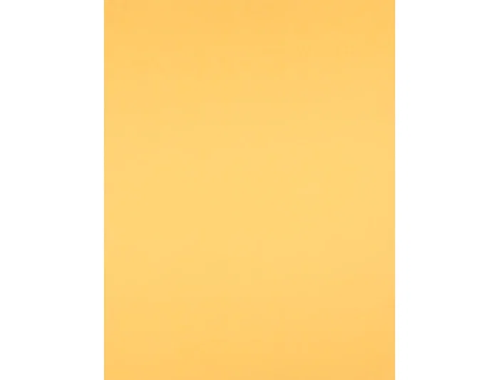 Liderpapel Cartulina 50x65 cm 240g/m2 Oro Paquete 25 Hojas para Dibujo y Manualidades