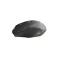 L-LINK LL-2095-N Ratón Óptico Inalámbrico 1600 DPI Negro