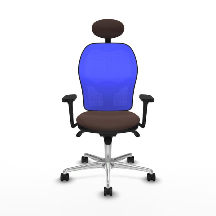 PIQUERAS Y CRESPO Silla de oficina Jorquera Marrón oscuro y Azul PIQUERAS Y CRESPO Silla de oficina Jorquera Marrón oscuro y Azul