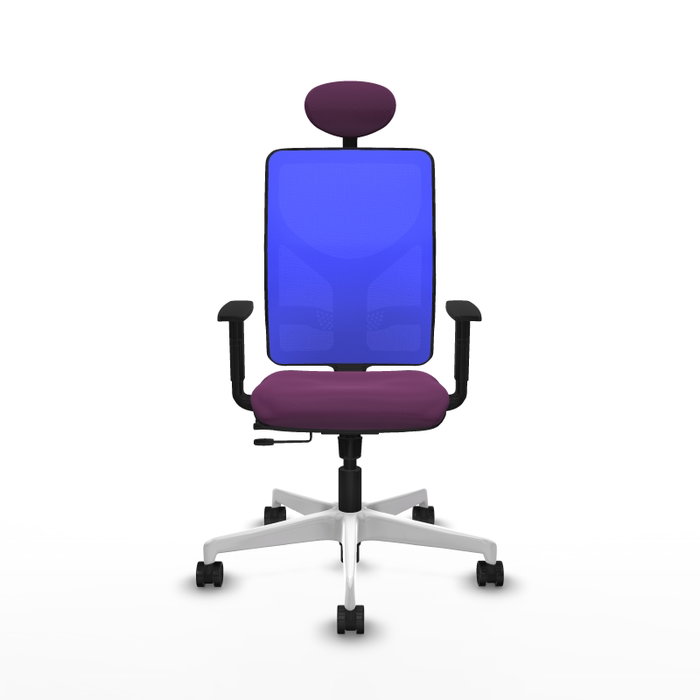 PIQUERAS Y CRESPO Silla de oficina Motilla con mecanismo Sincro/Traslack, Morado y Azul PIQUERAS Y CRESPO Silla de oficina Motilla con mecanismo Sincro/Traslack, Morado y Azul