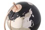 DKD Home Decor Globo Terráqueo de Aluminio Rosa y Negro