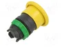 SCHNEIDER ELECTRIC Interruptor de presión Harmony XB5 Amarillo 22mm