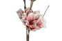 DKD Home Decor Flores EVA Surtido Fucsia y Lila 25x10x117 cm