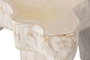 DKD Home Decor Mesa de Centro Raíz de Teca Blanco Decapé