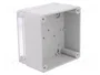 ELEKTRO-PLAST NASIELSK Carcasa Universal INDUSTRIAL Gris IP65