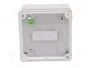 ELEKTRO-PLAST NASIELSK Carcasa Universal INDUSTRIAL Gris IP65