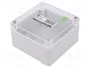 ELEKTRO-PLAST NASIELSK Carcasa Universal INDUSTRIAL Gris IP65