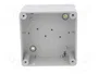 ELEKTRO-PLAST NASIELSK Carcasa Universal INDUSTRIAL Gris IP65