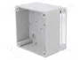 ELEKTRO-PLAST NASIELSK Carcasa Universal INDUSTRIAL Gris IP65