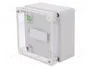 ELEKTRO-PLAST NASIELSK Carcasa Universal INDUSTRIAL Gris IP65
