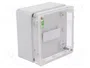 ELEKTRO-PLAST NASIELSK Carcasa Universal INDUSTRIAL Gris IP65