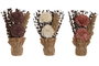 DKD Home Decor Planta de Flores Secas y Papel Surtido de 3 Unidades