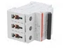 ABB S203-B13, 440 V