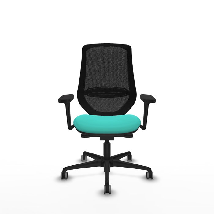 PIQUERAS Y CRESPO Silla de oficina Mardos con mecanismo Sincro/Traslack, Turquesa y Negro PIQUERAS Y CRESPO Silla de oficina Mardos con mecanismo Sincro/Traslack, Turquesa y Negro