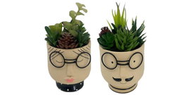 DKD Home Decor Planta Beige Verde 11 x 20 x 11 cm (6 Unidades)