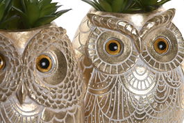 DKD Home Decor Planta Colonial Dorado Verde 18 x 11.5 x 11 cm