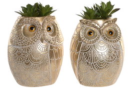 DKD Home Decor Planta Resina Búho Surtido de 2 Piezas Dorado y Verde