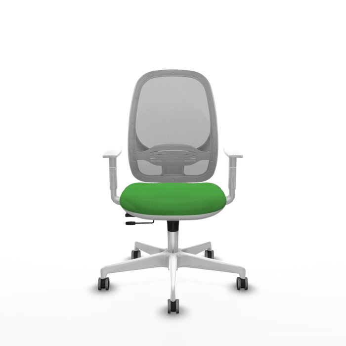 PIQUERAS Y CRESPO Silla de oficina Cilanco con mecanismo Sincro/Traslack, Verde y Gris PIQUERAS Y CRESPO Silla de oficina Cilanco con mecanismo Sincro/Traslack, Verde y Gris