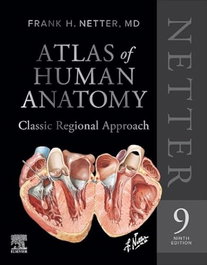 Netter Atlas of Human Anatomy: Classic Regional Approach - Netter