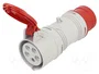 SEZ DK Adaptador de Transición IEC 60309