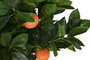 DKD Home Decor Árbol 40 x 82 x 40 cm (2 Unidades) Verde Naranja