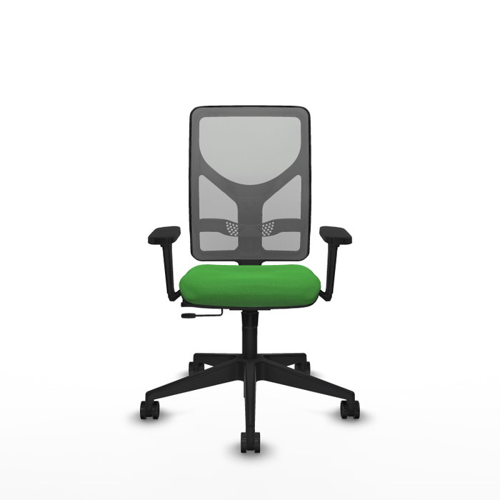 PIQUERAS Y CRESPO Silla de oficina Motilla con mecanismo Sincro/Traslack Verde y Gris PIQUERAS Y CRESPO Silla de oficina Motilla con mecanismo Sincro/Traslack Verde y Gris