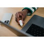 Verbatim Plectra White 256GB USB-C Flash Drive