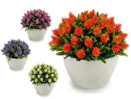 IBERGARDEN Planta Flores Puntas Surtidos Col Maceta 10 cm 14x12.5x14 cm (Set de 24)