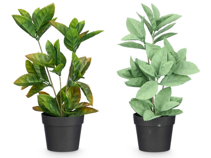 Ibergarden Maceta Planta Hoja Punta Mate Brillo Surtidos Col 16x35x10 cm (Set de 12)