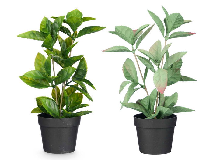 Ibergarden Maceta Planta Hoja Punta Mate Brillo Surtidos Col 16x35x10 cm (Set de 12)