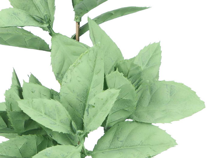 Ibergarden Maceta Planta Hoja Punta Mate Brillo Surtidos Col 16x35x10 cm (Set de 12)