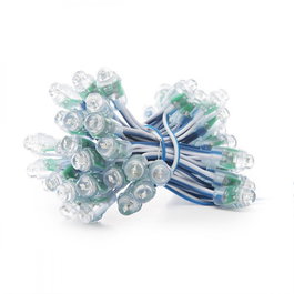 Epistar Pixel LED 0.1W 2Lm 12Mm 5V Azul (Cadena 50 Unidades)