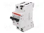 ABB S300P Interruptor magnetotérmico 6A 1+N 240VAC 25kA